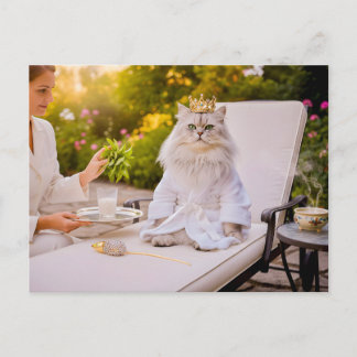 Carte Postale Chat dans un salon de spa royal