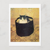 Carte Postale Chat dans une boîte à chapeaux, Solomon Meijer (Devant)