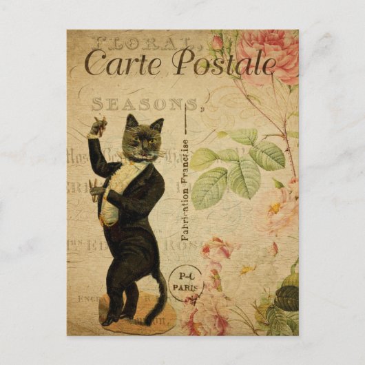 Carte Postale Chat dansant à Tuxedo (Devant)