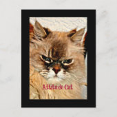 Carte Postale Chat d'attitude (Devant)