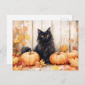 Carte Postale Chat d'automne et Citrouilles (Devant / Derrière)
