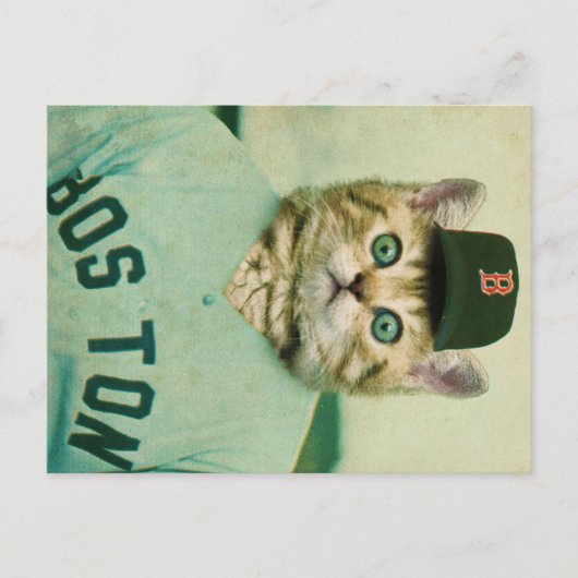 Carte Postale Chat de baseball (Devant)