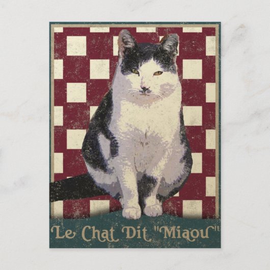 Carte Postale Chat de bistro vintage (Devant)
