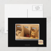 Carte Postale Chat de blanchisserie (Devant / Derrière)