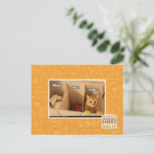 Carte Postale Chat de blanchisserie (Debout devant)