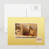 Carte Postale Chat de blanchisserie (Devant / Derrière)