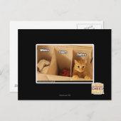 Carte Postale Chat de blanchisserie (Devant / Derrière)