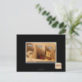 Carte Postale Chat de blanchisserie (Debout devant)