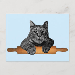 Carte Postale chat de boulanger drôle