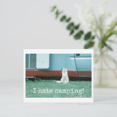 Carte Postale Chat de camping (Debout devant)