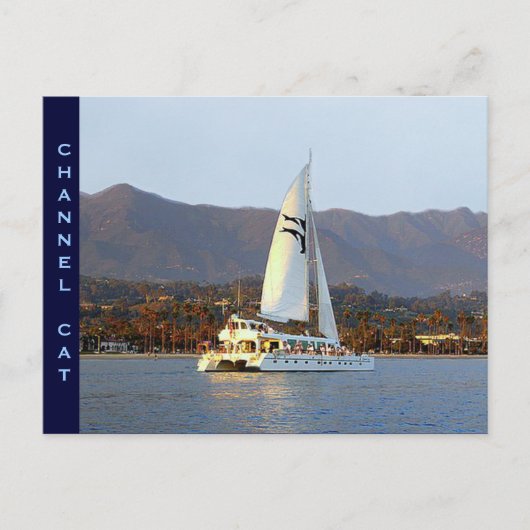 Carte Postale Chat de canal au coucher du soleil (Devant)