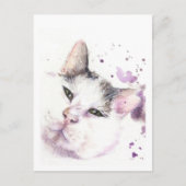 Carte Postale Chat de chasse (Devant)