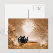 Carte Postale Chat de chauve-souris d'Halloween (Devant / Derrière)