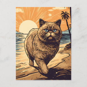 Carte Postale Chat de courte distance exotique sur une plage tro