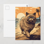 Carte Postale Chat de courte distance exotique sur une plage tro (Devant / Derrière)