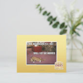 Carte Postale Chat de désobéissance civile (Debout devant)