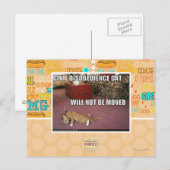 Carte Postale Chat de désobéissance civile (Devant / Derrière)