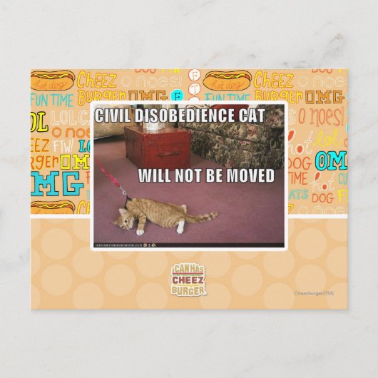 Carte Postale Chat de désobéissance civile (Devant)