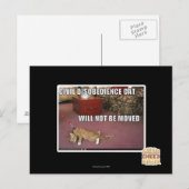 Carte Postale Chat de désobéissance civile (Devant / Derrière)