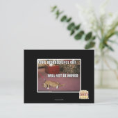 Carte Postale Chat de désobéissance civile (Debout devant)