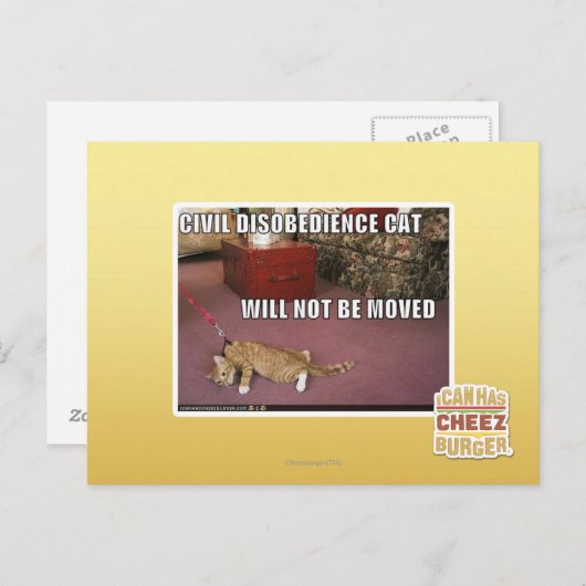 Carte Postale Chat de désobéissance civile (Devant / Derrière)