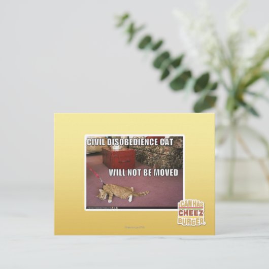 Carte Postale Chat de désobéissance civile (Debout devant)