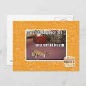 Carte Postale Chat de désobéissance civile (Devant / Derrière)