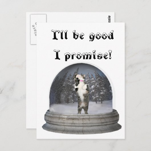 Carte Postale Chat de globe de neige (Devant / Derrière)