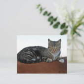 Carte Postale Chat de grange sur Dunnit (Debout devant)