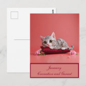 Carte Postale Chat de janvier mignon avec oeillets (Devant / Derrière)