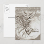 Carte Postale Chat de Kitty (Devant / Derrière)