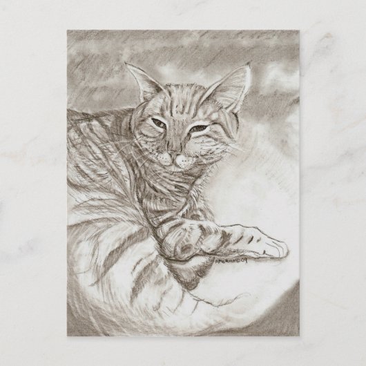 Carte Postale Chat de Kitty (Devant)