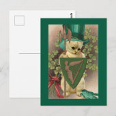 Carte Postale Chat de la Saint-Patrick (Devant / Derrière)