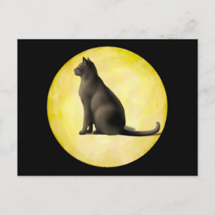 Carte Postale Chat de lune