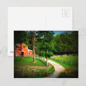 Carte Postale Chat de maison de ferme dans la cour de grange (Devant / Derrière)