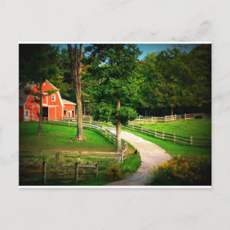 Carte Postale Chat de maison de ferme dans la cour de grange