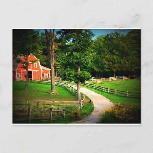 Carte Postale Chat de maison de ferme dans la cour de grange (Devant)