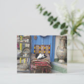 Carte Postale Chat de Marrakech (Debout devant)