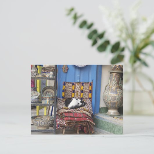 Carte Postale Chat de Marrakech (Debout devant)