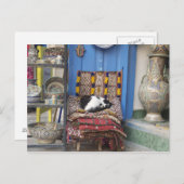 Carte Postale Chat de Marrakech (Devant / Derrière)