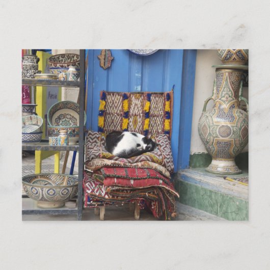 Carte Postale Chat de Marrakech (Devant)