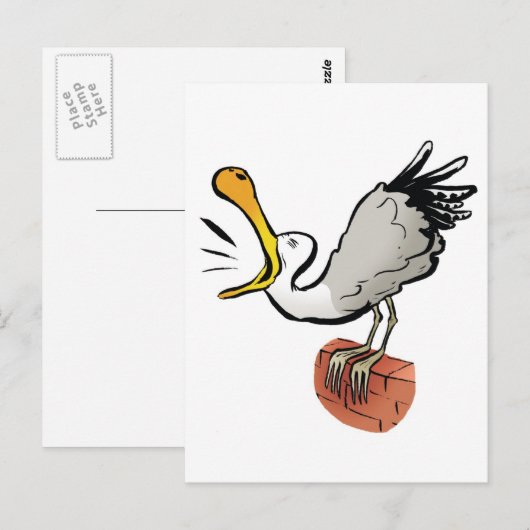 Carte Postale Chat de mouette (Devant / Derrière)