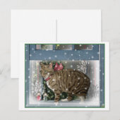 Carte Postale Chat de neige (Devant / Derrière)