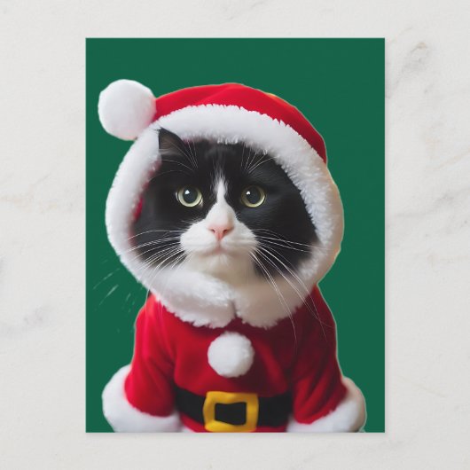 Carte Postale chat de Noël (Devant)