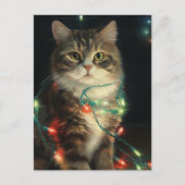 Carte Postale Chat de Noël (Devant)