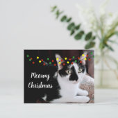 Carte Postale Chat de Noël (Debout devant)