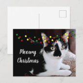 Carte Postale Chat de Noël (Devant / Derrière)