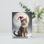 Carte Postale chat de noël dans la nuit (Debout devant)