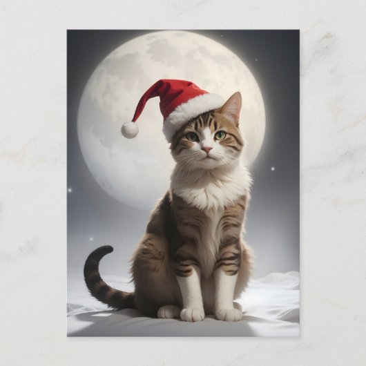 Carte Postale chat de noël dans la nuit (Devant)