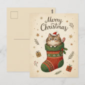 Carte Postale Chat de Noël dans une chaussette (Devant / Derrière)